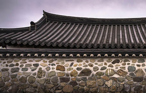 Services vegetative roof.jpg